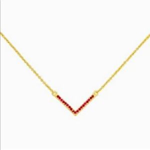 NWT Uncommon James Baby V Necklace